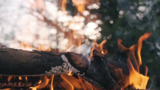Fire in the forest. Firewood burns with tongues of flame and smoke. The burning of tree branches close up with the sunset on background