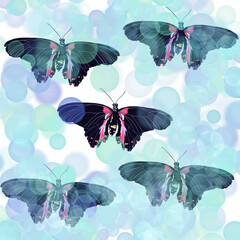 butterflies,butterflies with sequins,pink and black butterfly,mother-of-pearl butterfly,exotic butterfly butterfly,butterfly with bubbles,butterfly with highlights,butterfly on a heavenly background,b