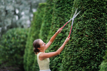 beautiful young woman in a white tulle skirt with garden scissors cuts large pyramidal thuja,...