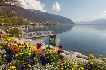Bord de lac à Montreux. Fleurs au printemps sur la rivieira
