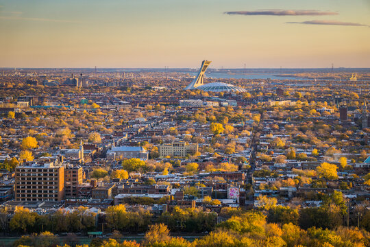 View On Montreal Olympic Stadium From Camilien Houde Belvedere On Top Of Mount Royal, At Sunrise On A Fall Day