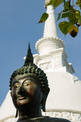 Buddha statue with white stupa and sacred bo leaves