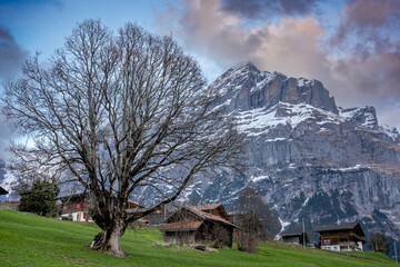 Grindelwald - beautiful village in mountain scenery