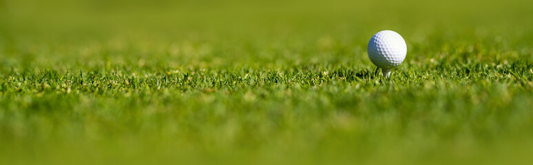 Golf ball on the green grass, banner. Sport golf ball on background with copy space.