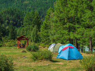 Collective camping, tents stand in a row on a green lawn on the bank of a mountain river.