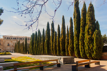 Cipreses en una plaza en la ciudad de Guadalajara, en Castilla La Mancha, Espa&ntilde;a.