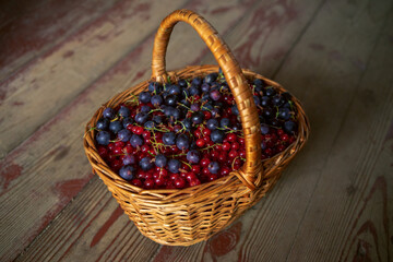 Fototapeta na wymiar Black and red currant berries in a wicker basket on a wooden background. Natural wild berries