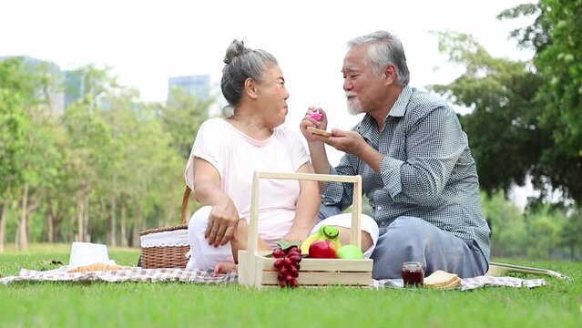 An elderly couple doing picnics and relaxing in the garden with bright smiles and enjoying the relaxation of summer season. Health and relaxation after retirement.