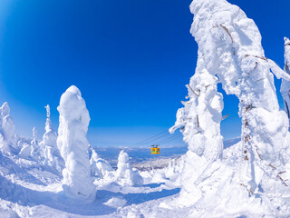 Snow monsters (soft rime) with a cable car behind (Zao-onsen ski resort, Yamagata, Japan)