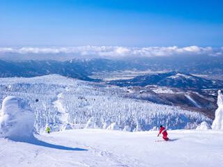 Fototapeta na wymiar Skiing in a snow monsters (soft rime) plateau (Zao-onsen ski resort, Yamagata, Japan)