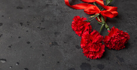9 May holiday concept. Carnation flowers, with red ribbon on dark background. symbol of Victory Day 1945