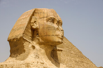 Sphinx Egypt portrait. Portrait of the Great Sphinx of Egypt close.Giza, Egypt.