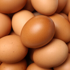 Close up egg texture background