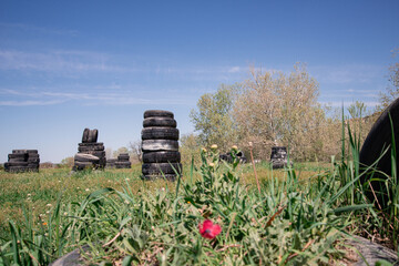 Old car tires stacked in posts at the landfill.