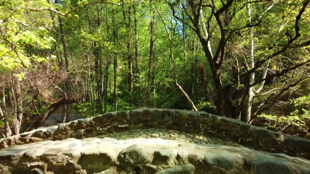 Venetian bridge in the forest over the green river in the Troodos mountains on the island of Cyprus in spring.