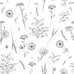 Flowers. Seamless pattern. Hand drawn vector illustration.
