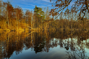 Abendsonne am Moorsee