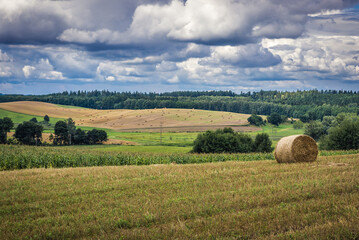 Fields in Masurian Lakeland area of Warmia and Mazury region, Poland