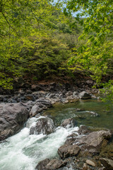 Obraz premium 新緑の龍王峡（栃木県日光市）