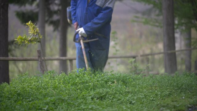 lavoro cond ecespugliatore a scoppio