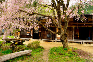中山道　一石栃立場