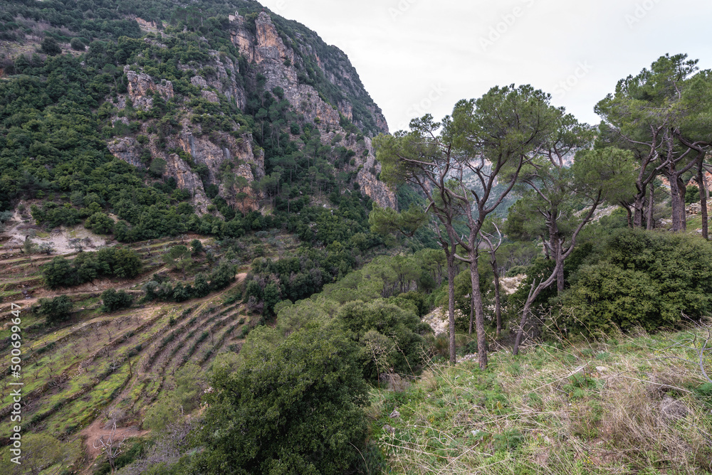 Canvas Prints Gardens of St Anthony Monastery also known as Qozhaya Monastery