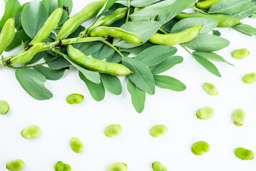 Fresh organic vegetable broad beans on white background