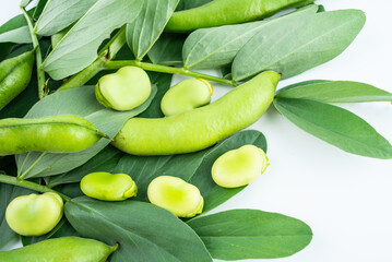 Fresh organic vegetable broad beans on white background