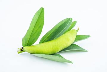 Fresh broad bean pods on white background