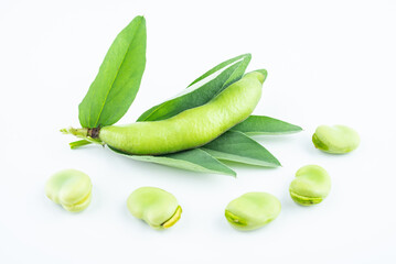 Fresh broad bean pods on white background