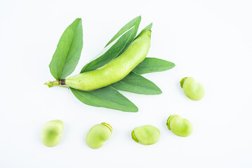 Fresh broad bean pods on white background