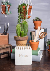 Schreibtisch mit Stiften, Block, Notizbuch und Zimmerpflanzen, Blumenampel Makramee