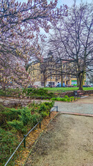 Old city architecture in Poland country in the Szczecin city