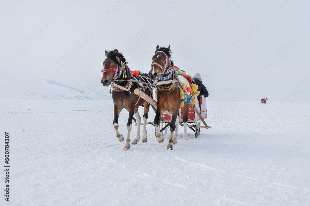 Wall mural barouche with two fancy horses on frozen çıldır lake in ardahan turkey