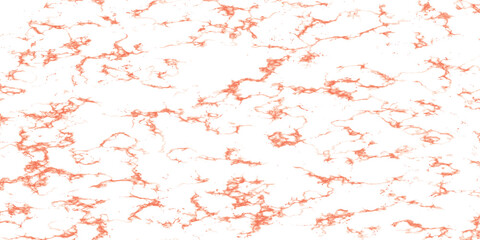 Marble granite white wall surface pattern graphic abstract light elegant for do floor ceramic counter texture stone slab smooth tile gray silver texture background.