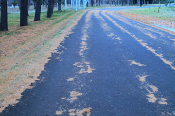 秋から冬への散歩道