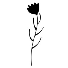 plant silhouette, on white background, isolated