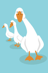 Vector illustration. Portrait of three white geese on a blue background. Bright print for design, decoration, postcards, posters and so on.
