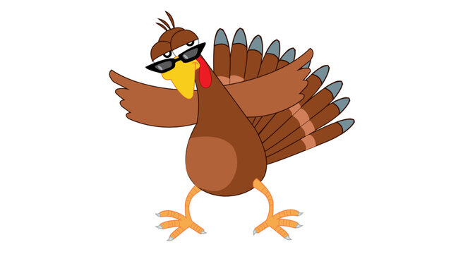 turkey bird attiude 