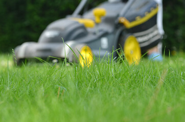 Manual green trimmer or lawn mover in the garden