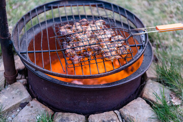 Grilled Chicken on Grid over Barbeque Fire Flames