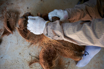 close up of a hand holding a coconut