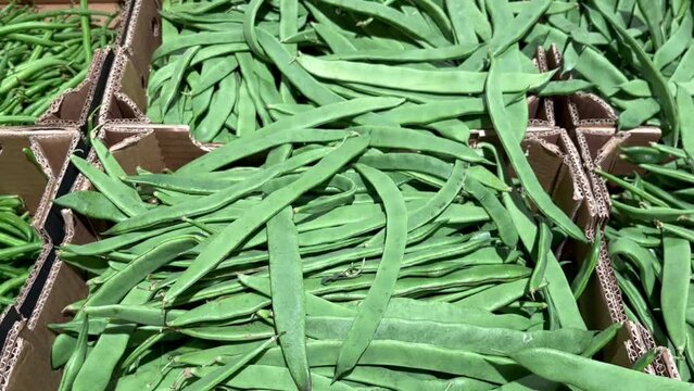 flat string beans flat-type bean pods fresh ripe fruit counter in the market shop healthy meal food diet snack veggie vegan or vegetarian food copy space food background