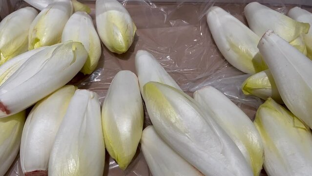 chicory green salad fresh Belgian endive or chicory and red Radicchio vegetables fresh ripe fruit counter in the market shop healthy meal food diet snack veggie vegan or vegetarian food background  