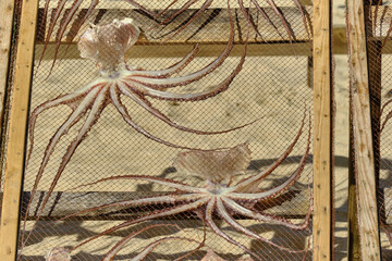 sun-dried octopus on wooden racks on the beach in Nazaré, Portugal