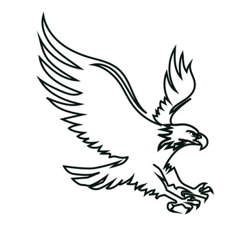 Eagle stock illustration on white background.eps