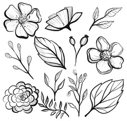 set of flowers. Hand draw illustration, Easter spring flower isolated. Line art black and white