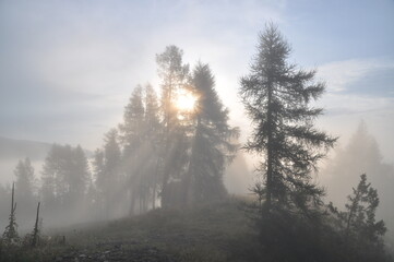 Fototapeta na wymiar mgła, poranek, Pieniny, Kluszkowce, góry, wiosna, chmury, 