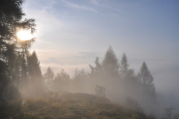 mgła, poranek, Pieniny, Kluszkowce, góry, wiosna, chmury,  - obrazy, fototapety, plakaty