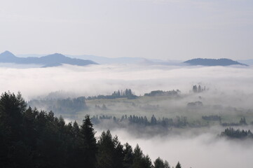 Obraz na płótnie Canvas mgła, poranek, Pieniny, Kluszkowce, góry, wiosna, chmury, 